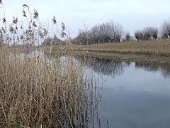 Jezioro Kiełpińskie